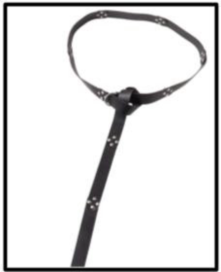 Studded Leather Ring Belt