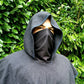 Custom Marauder's Mask